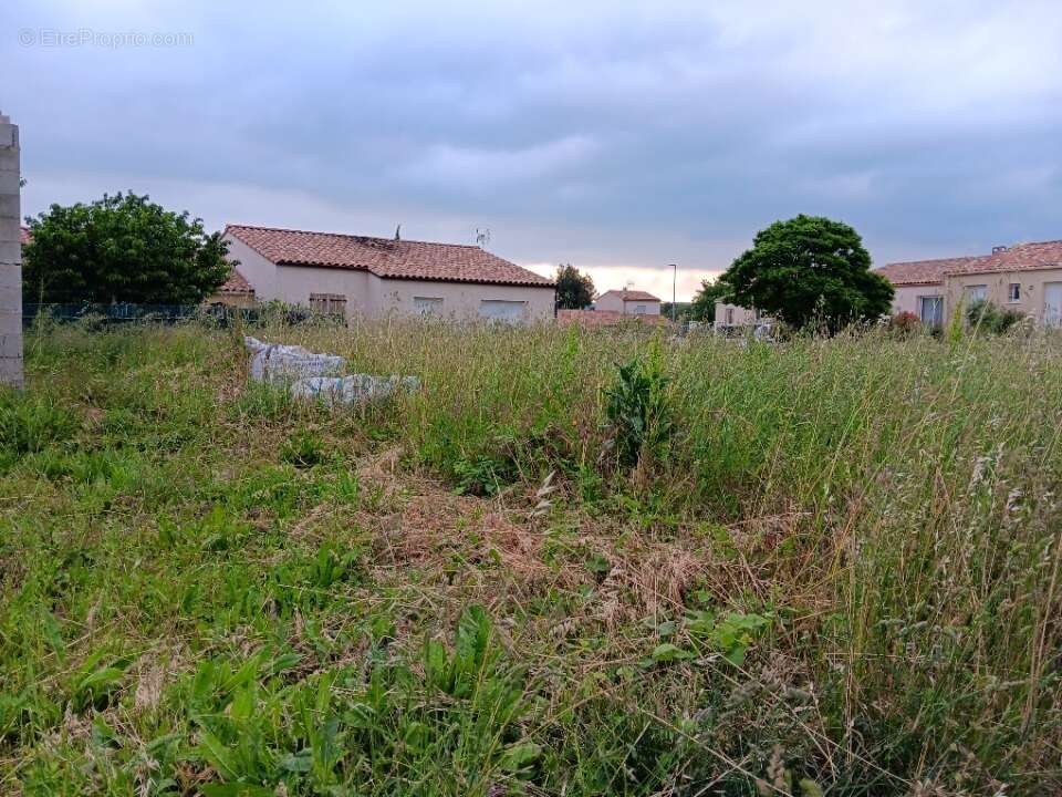 Terrain 393 m² à Limoux  - photo 3
