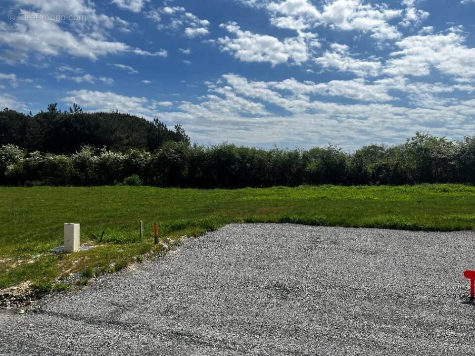 Terrain à SALLERTAINE