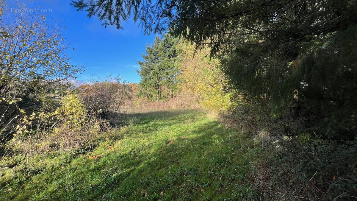 Terrain à COUTARNOUX