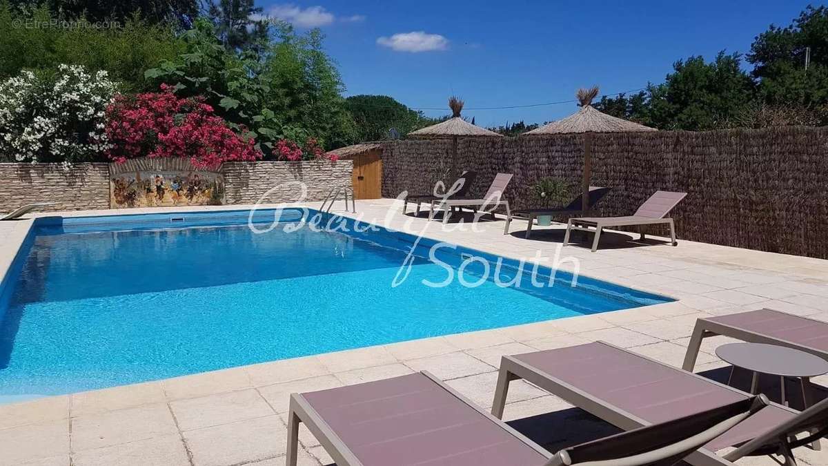 Mas et gites en activite, avec piscine et terrain, perpignan - photo 4