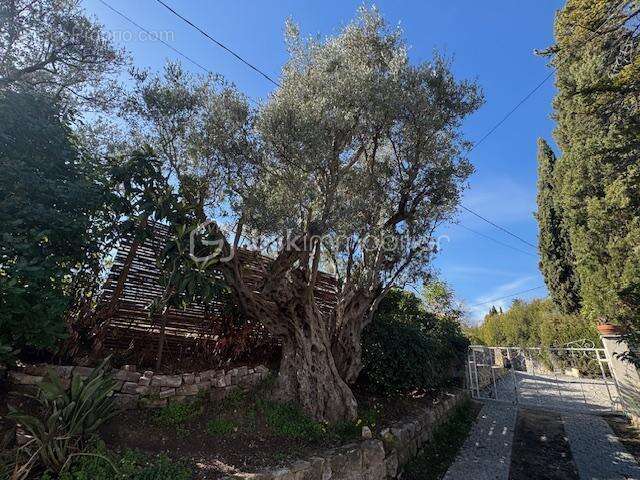 Maison à TOURRETTES