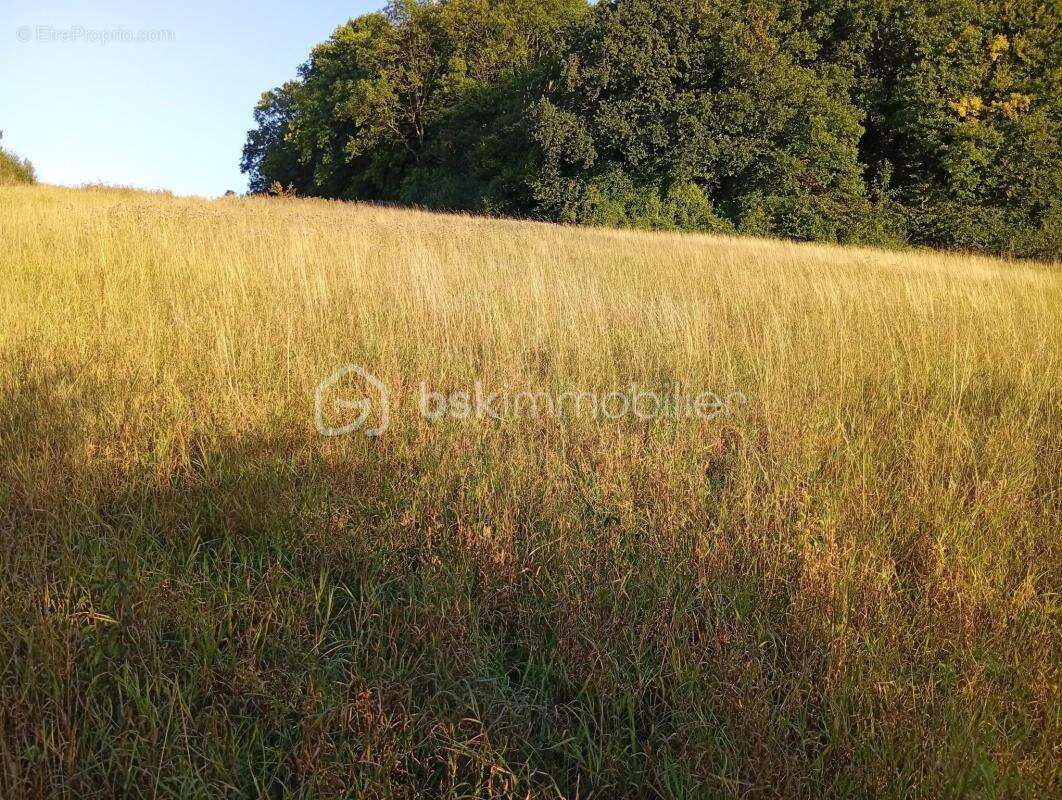 Terrain à SAINTE-GENEVIEVE