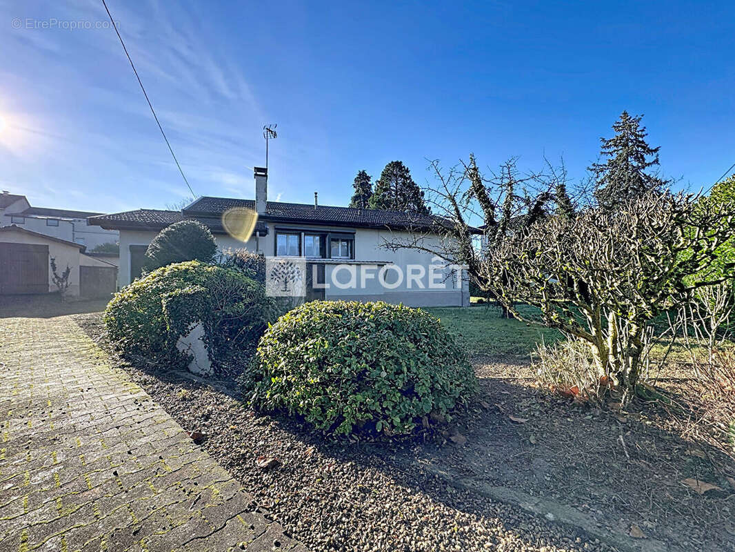 Maison à JASSANS-RIOTTIER