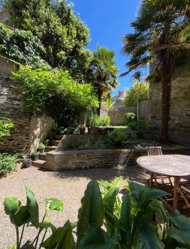   - Appartement à ANGERS