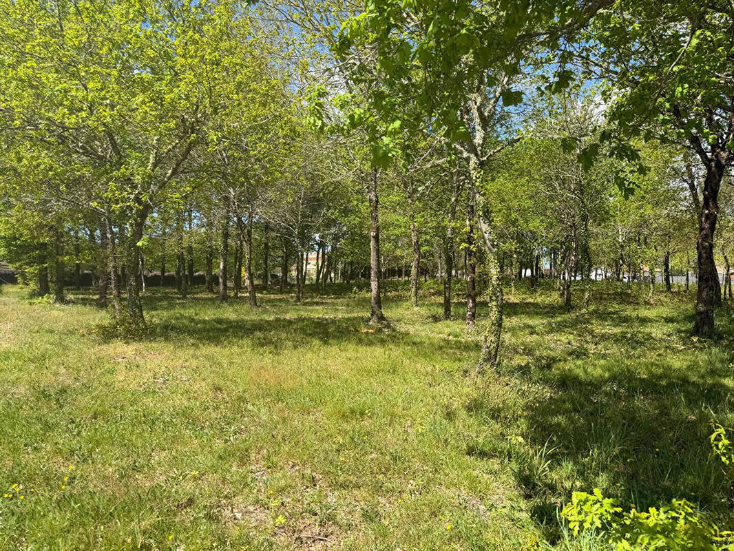 Terrain à BELIN-BELIET