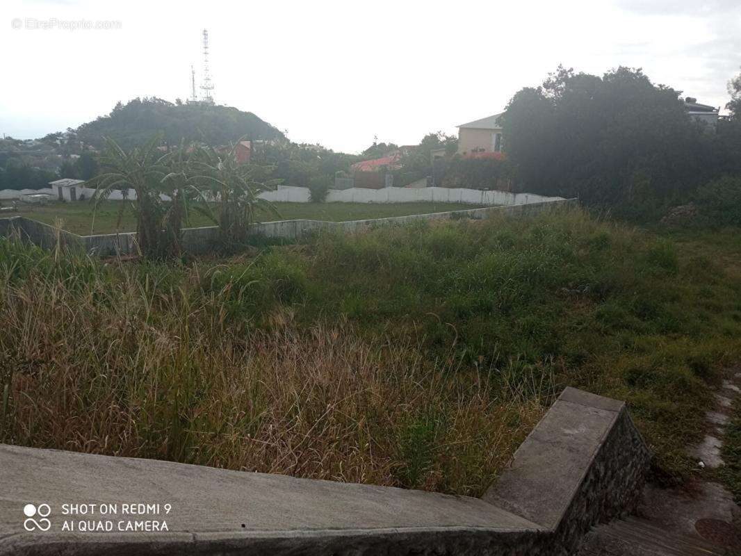 Terrain à SAINT-LEU