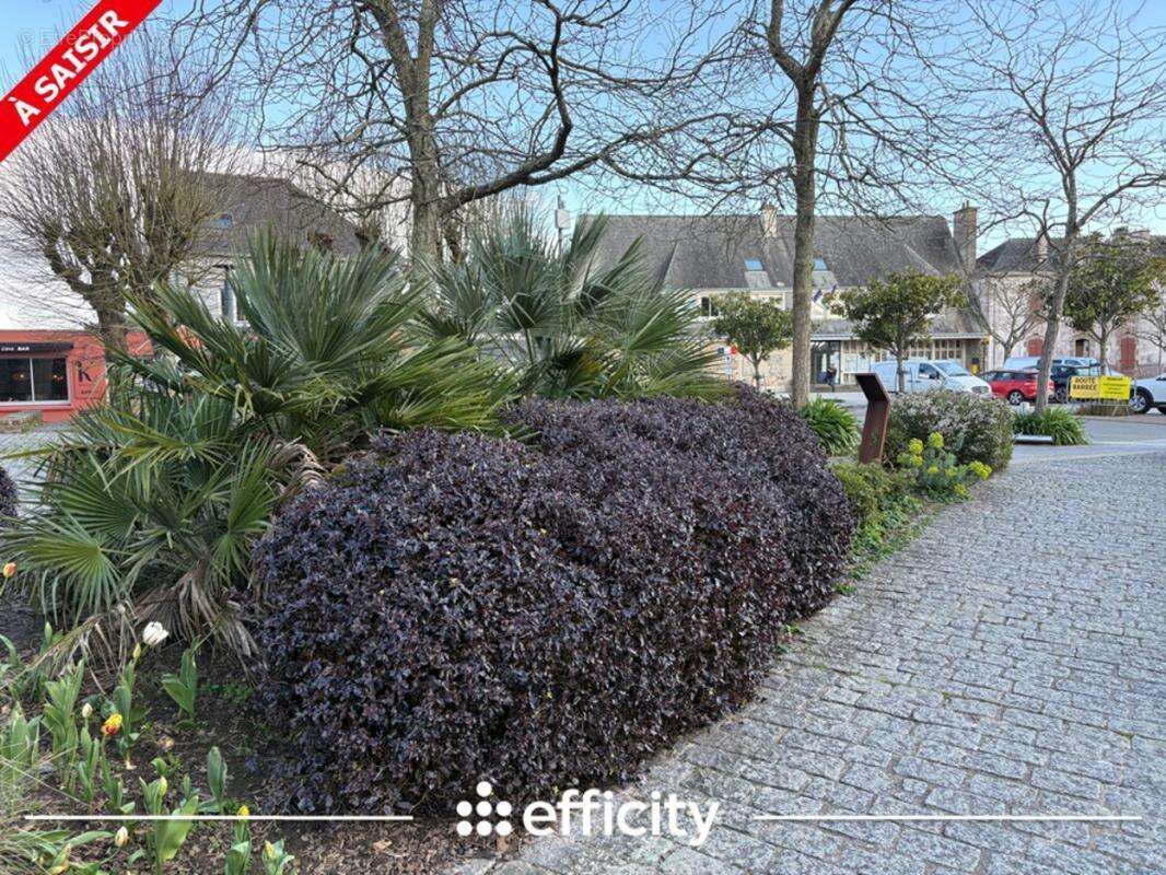 Appartement - photo 9