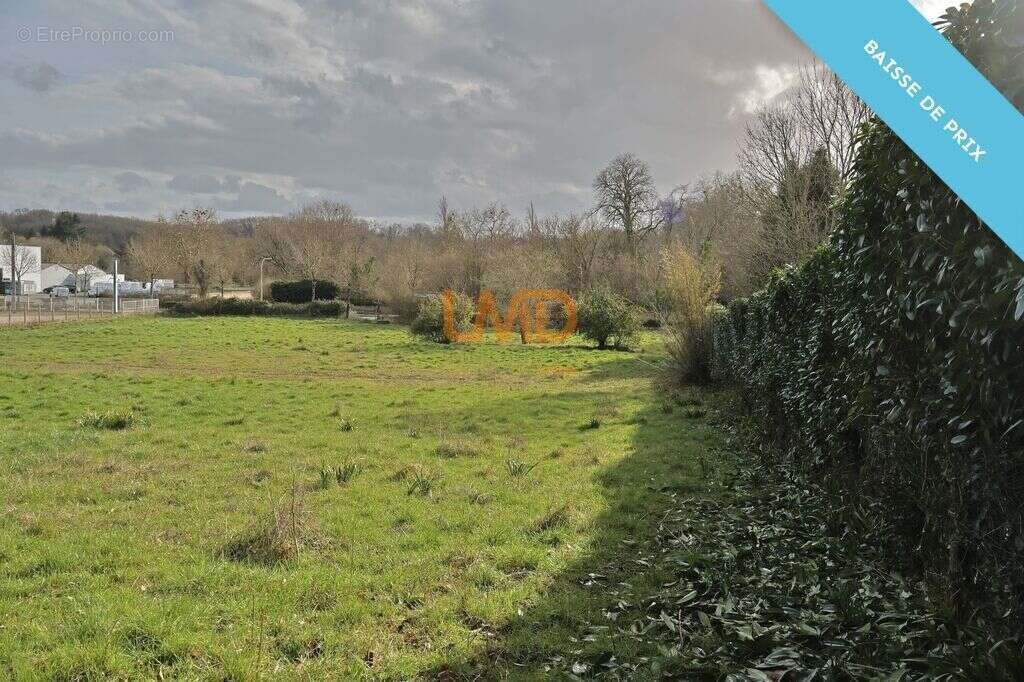 Terrain à LE BLANC