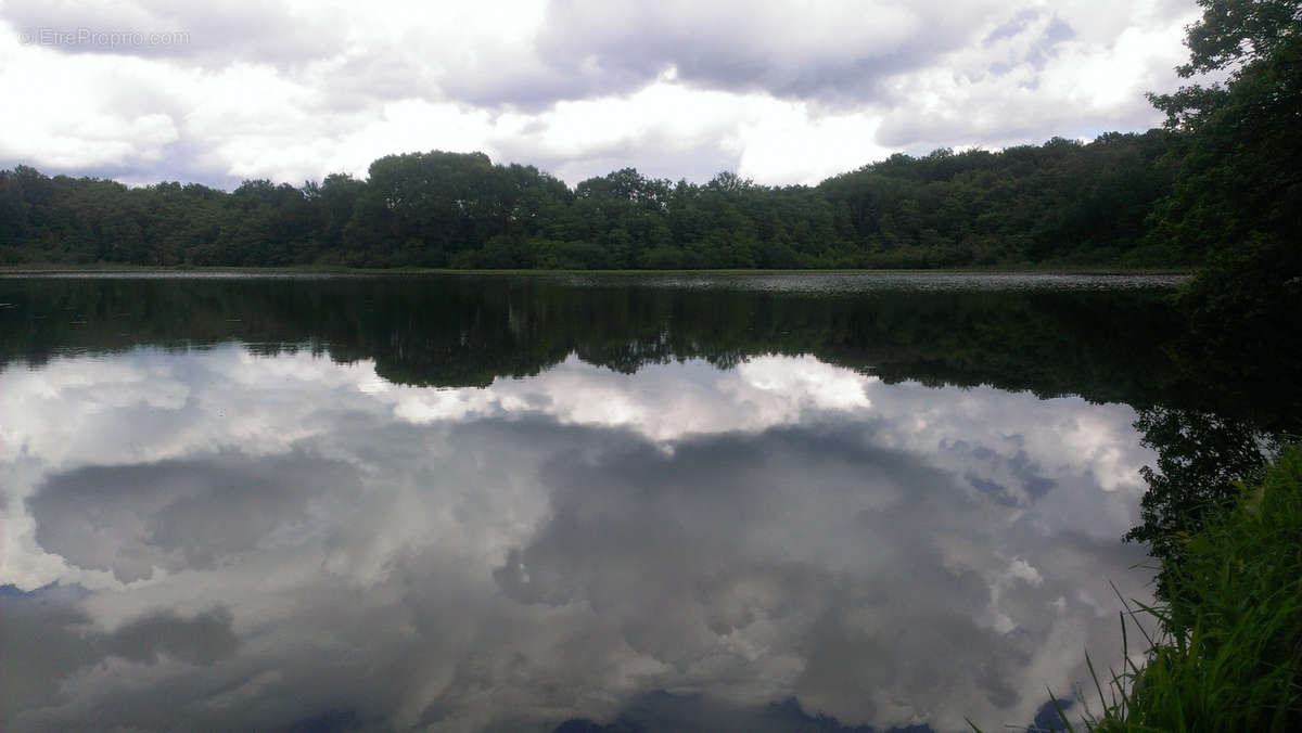 Terrain à PLOMBIERES-LES-BAINS