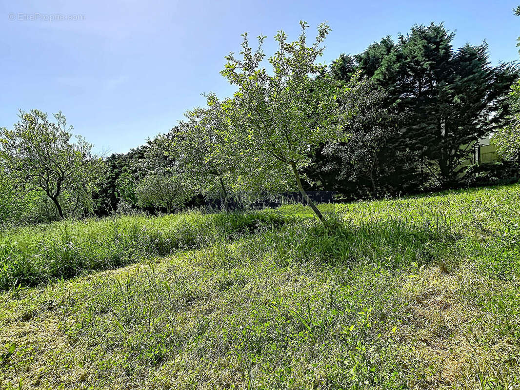 Terrain à LE PONTET