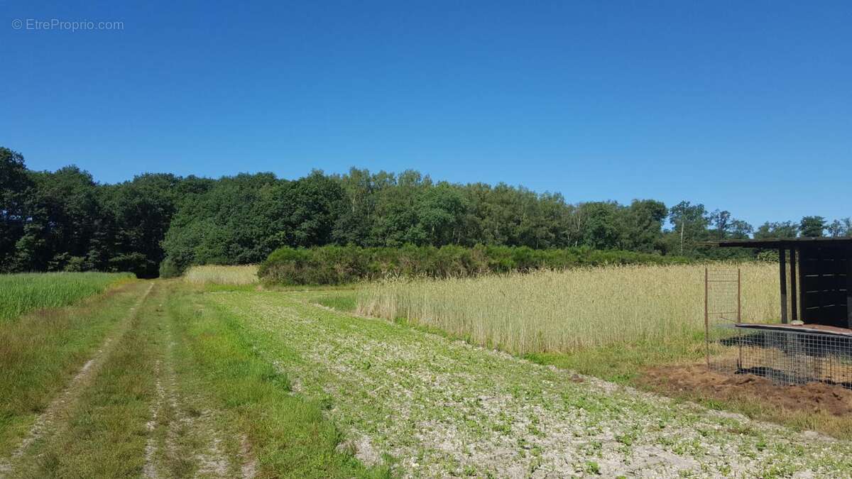 Maison à BRINON-SUR-SAULDRE