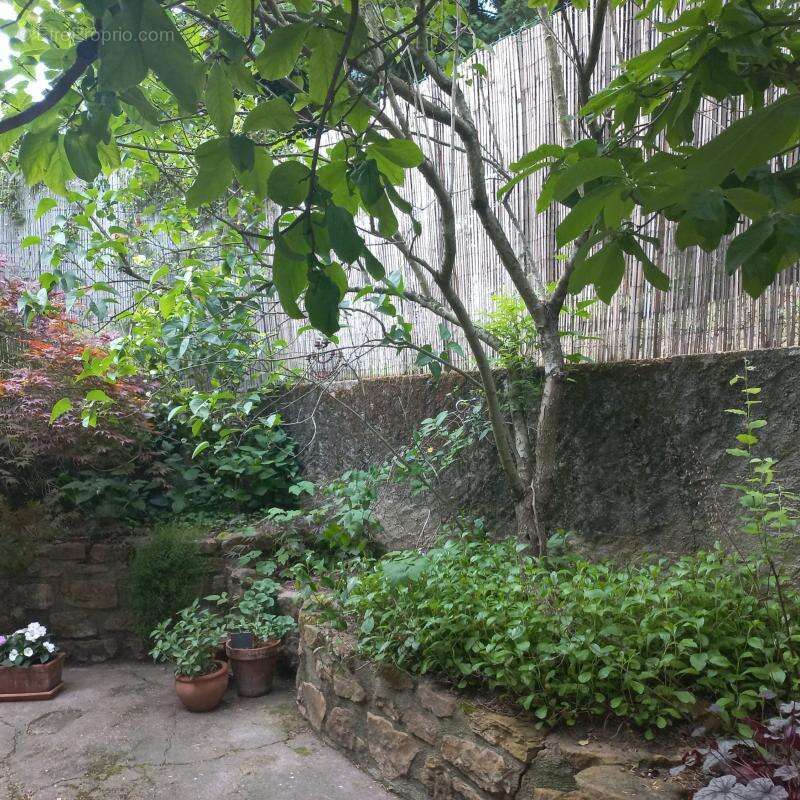 Maison à NEUVILLE-SUR-SAONE