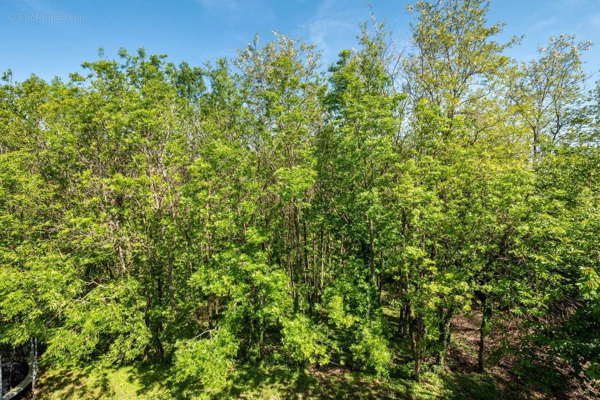 Maison à SAINT-BONNET-DE-MURE