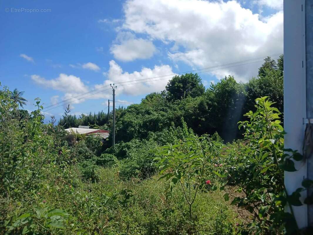 Terrain à LES TROIS-BASSINS