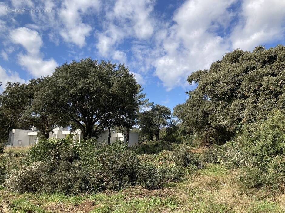 Terrain à BAILLARGUES