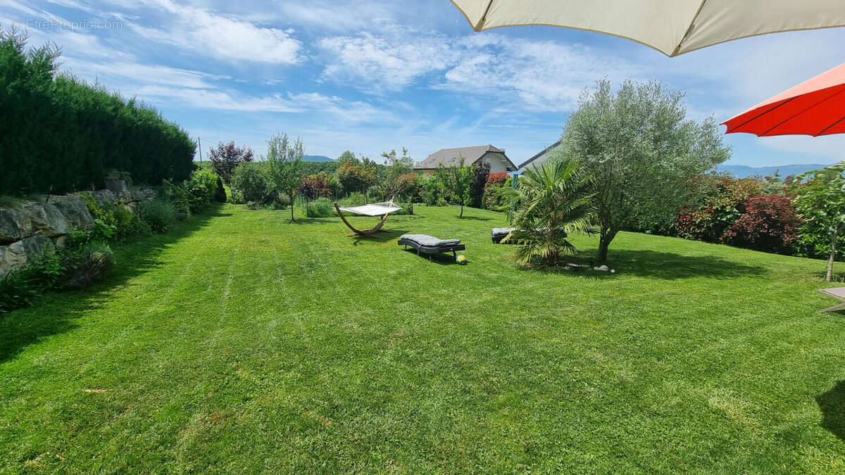 Maison à SAINT-CERGUES