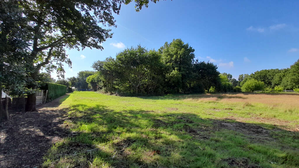 Saint vivien - terrain mixte    8100 m2 - photo 4