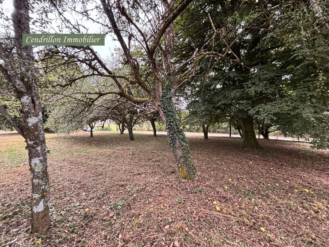 Maison à SAINT-PRIEST-PALUS