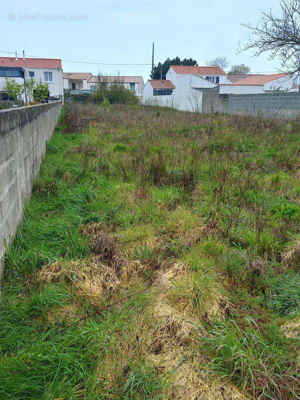 Photo 2 - Terrain à LA TRANCHE-SUR-MER