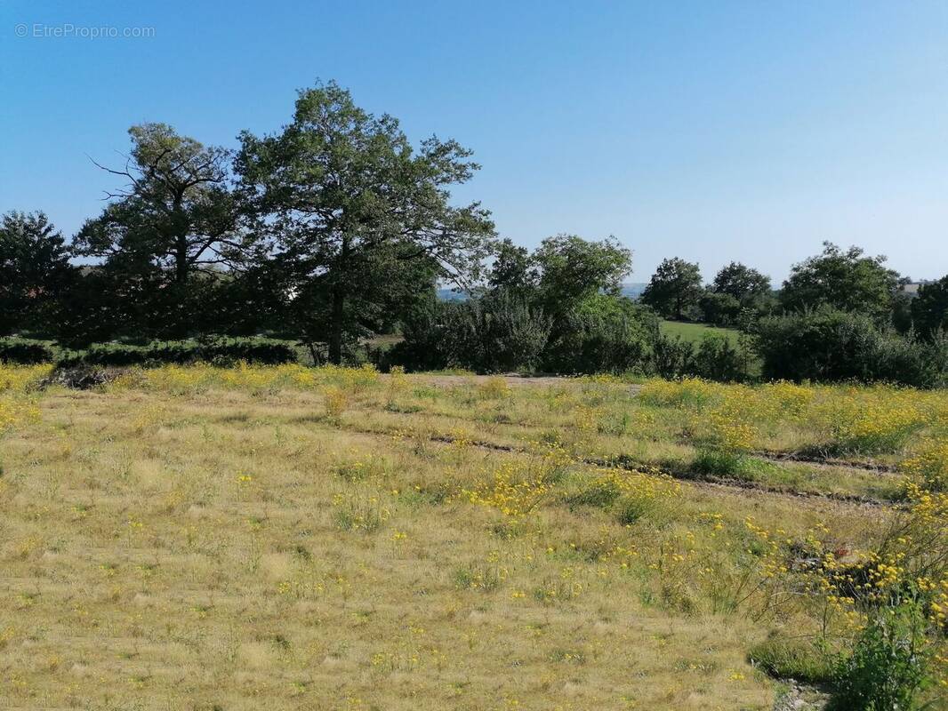 Terrain à COLOMBIES