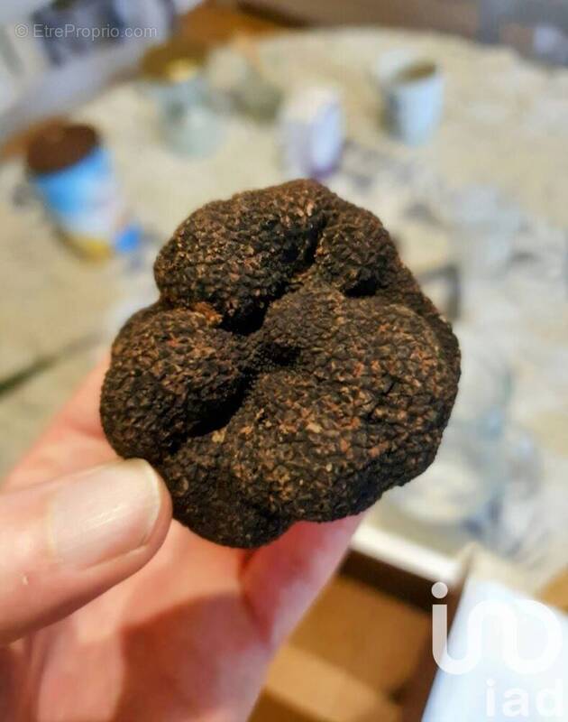 Photo 1 - Terrain à CASTELRENG