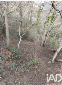 Photo 2 - Terrain à CARAMANY