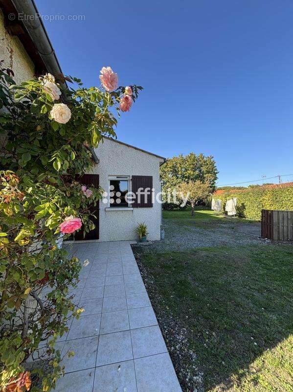 Maison à AIGREFEUILLE-D'AUNIS