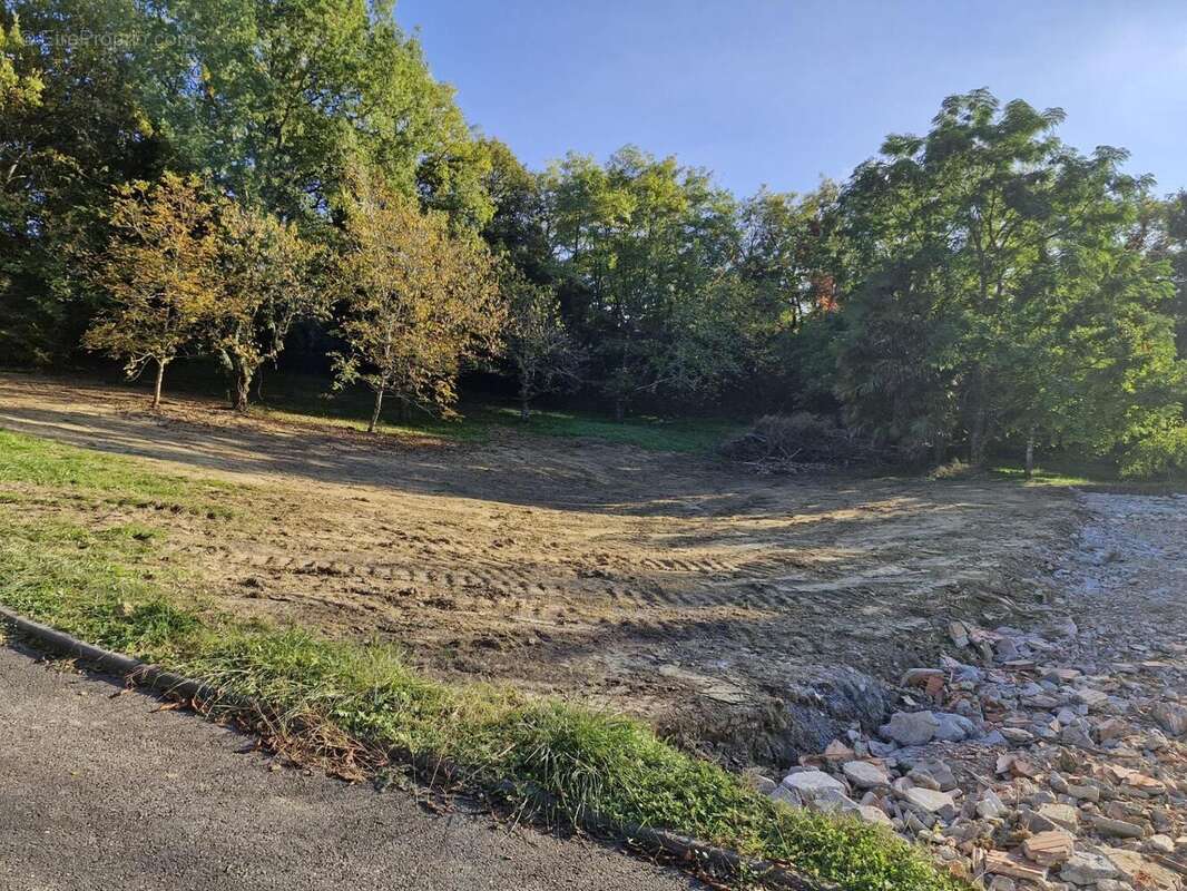 Photo 3 - Terrain à CASTELNAU-D&#039;ESTRETEFONDS