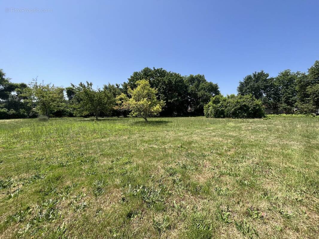 Terrain à BISCARROSSE