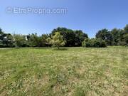 Terrain à BISCARROSSE