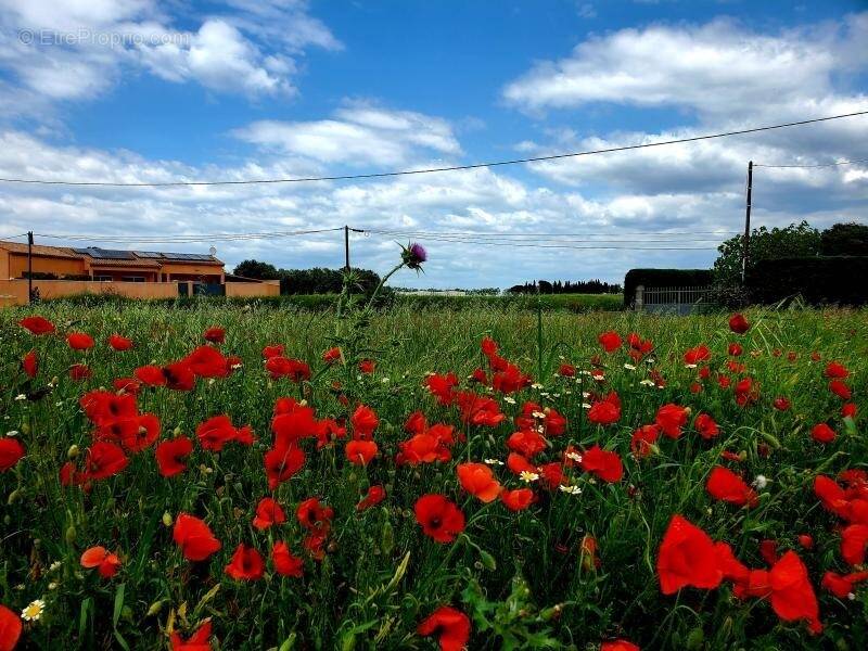 Terrain à POMEROLS