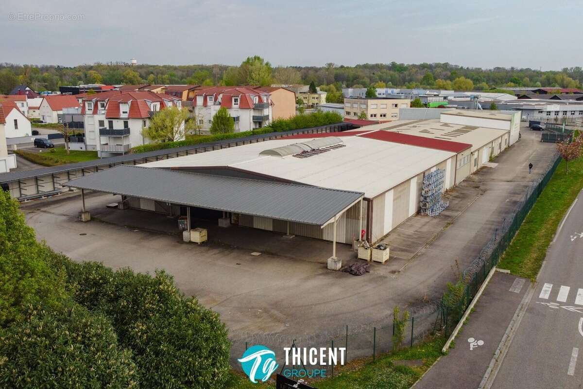 Commerce 3140 m² à Soufflenheim  - photo 6