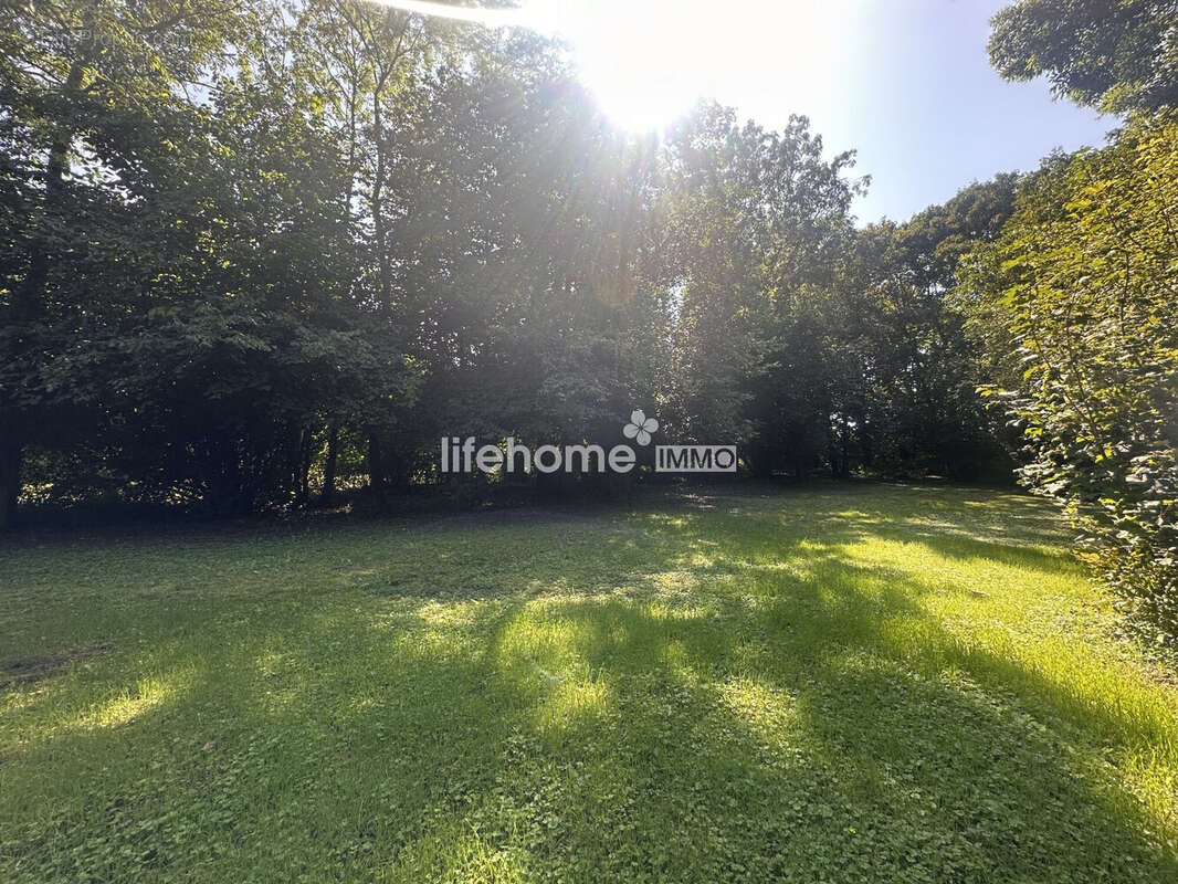 Maison 248 m² à Eschau  - photo 2