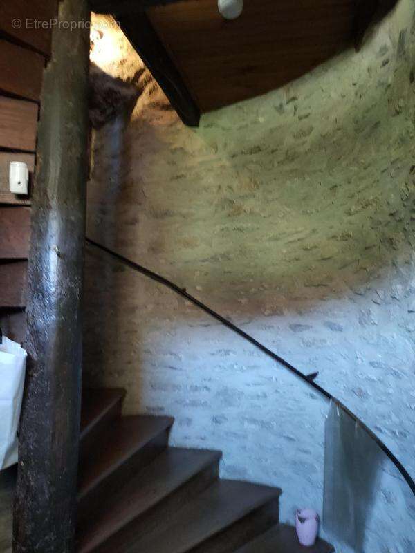 Chateau medieval - photo 10