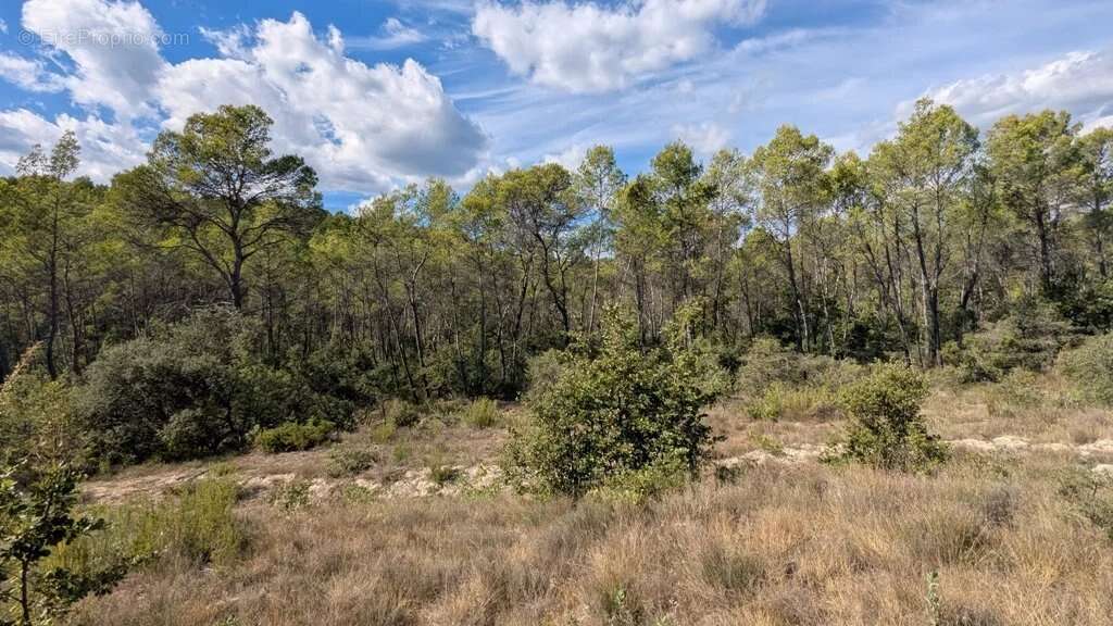 Terrain à ENTRECASTEAUX