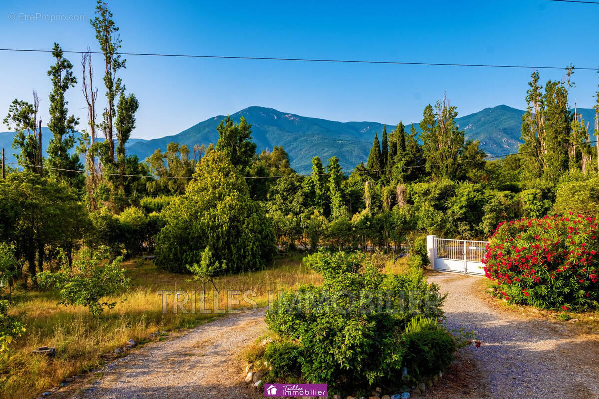 Maison à LAROQUE-DES-ALBERES