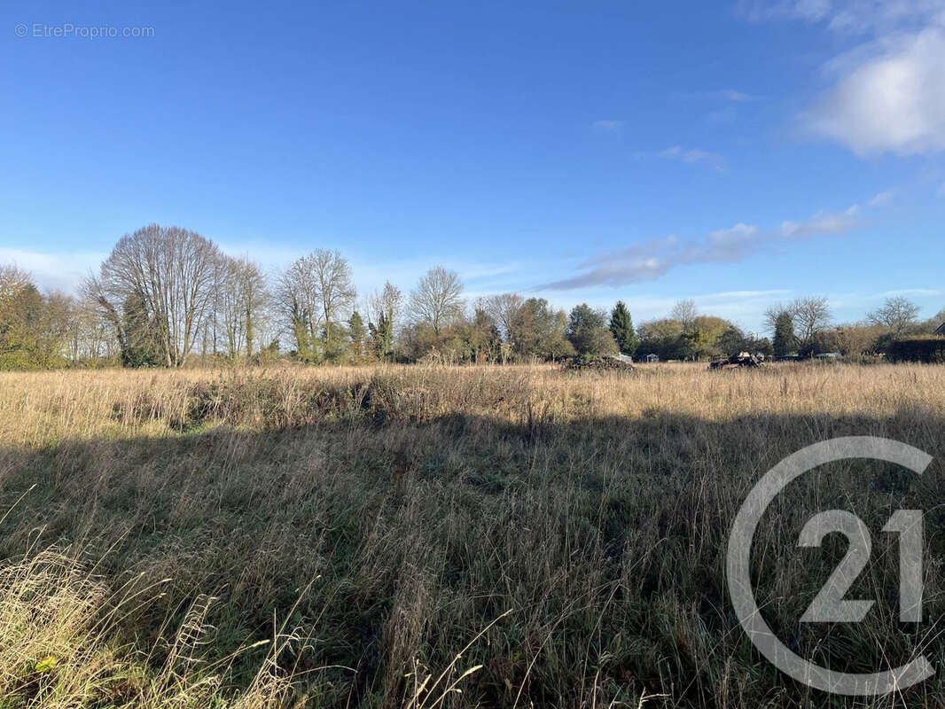 Terrain à CAORCHES-SAINT-NICOLAS