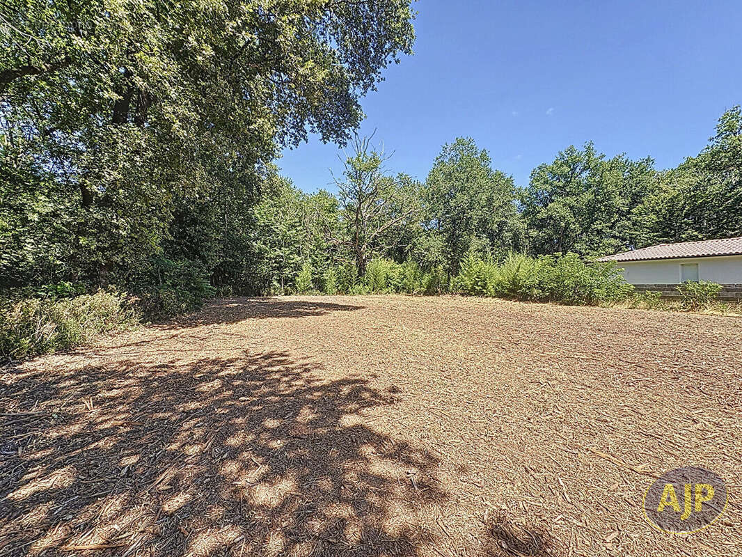 Terrain Saint Selve 1062 m2 - photo 4