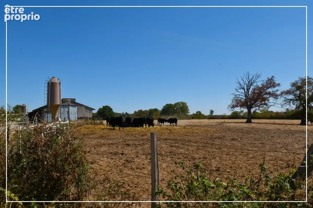 Maison à vendre 5 pièces LE CHATELET (18) - photo 29