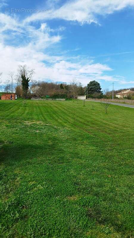 Terrain de 799m² saint sulpice sur leze - photo 6