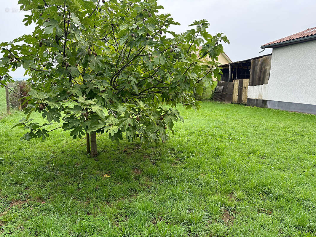 Terrain à SAINTE-BLANDINE
