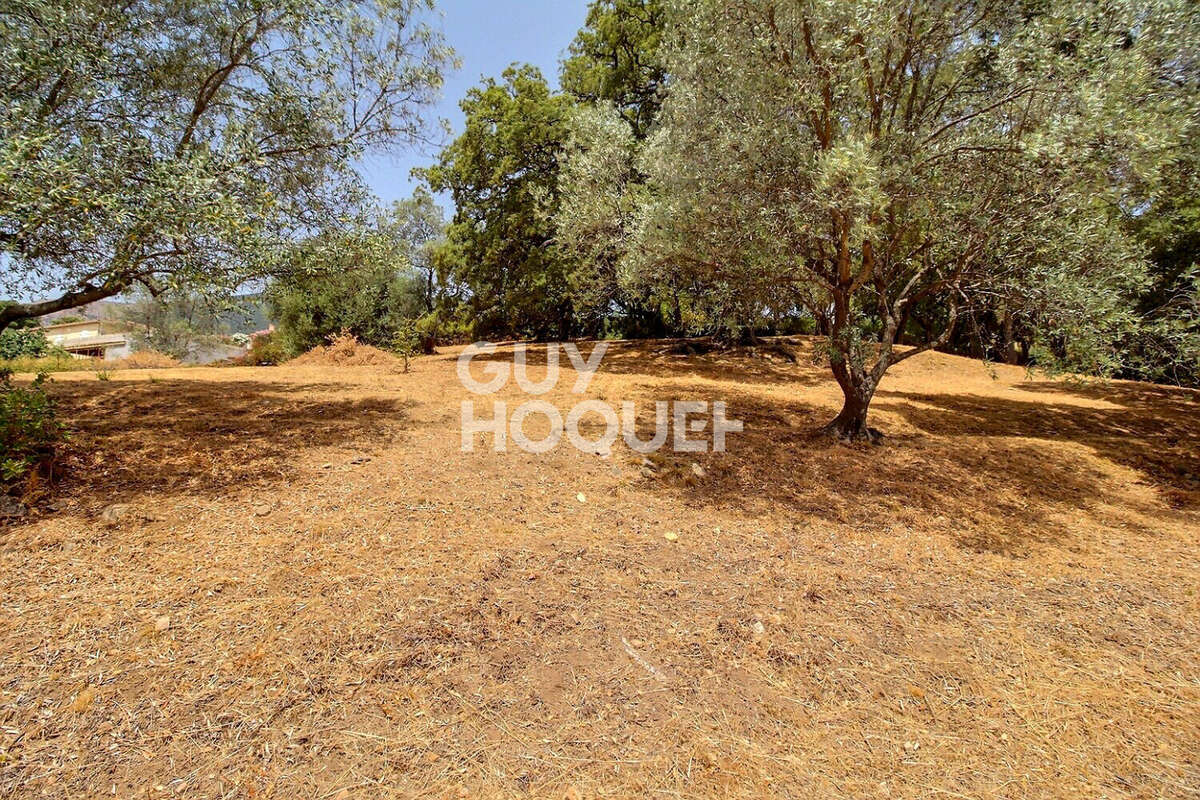 Maison Tavaco 5 pièces 127 m2 + terrain constructible de 5221m² - photo 10