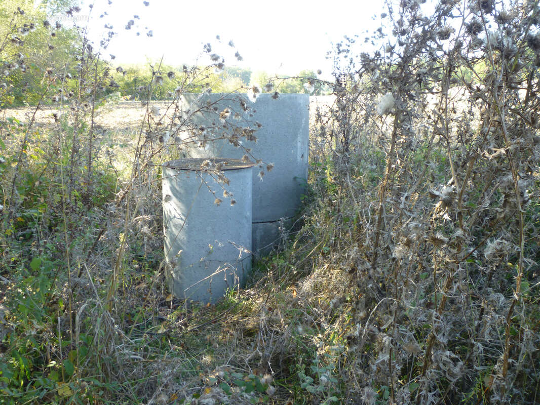 Terrain de loisirs - photo 8