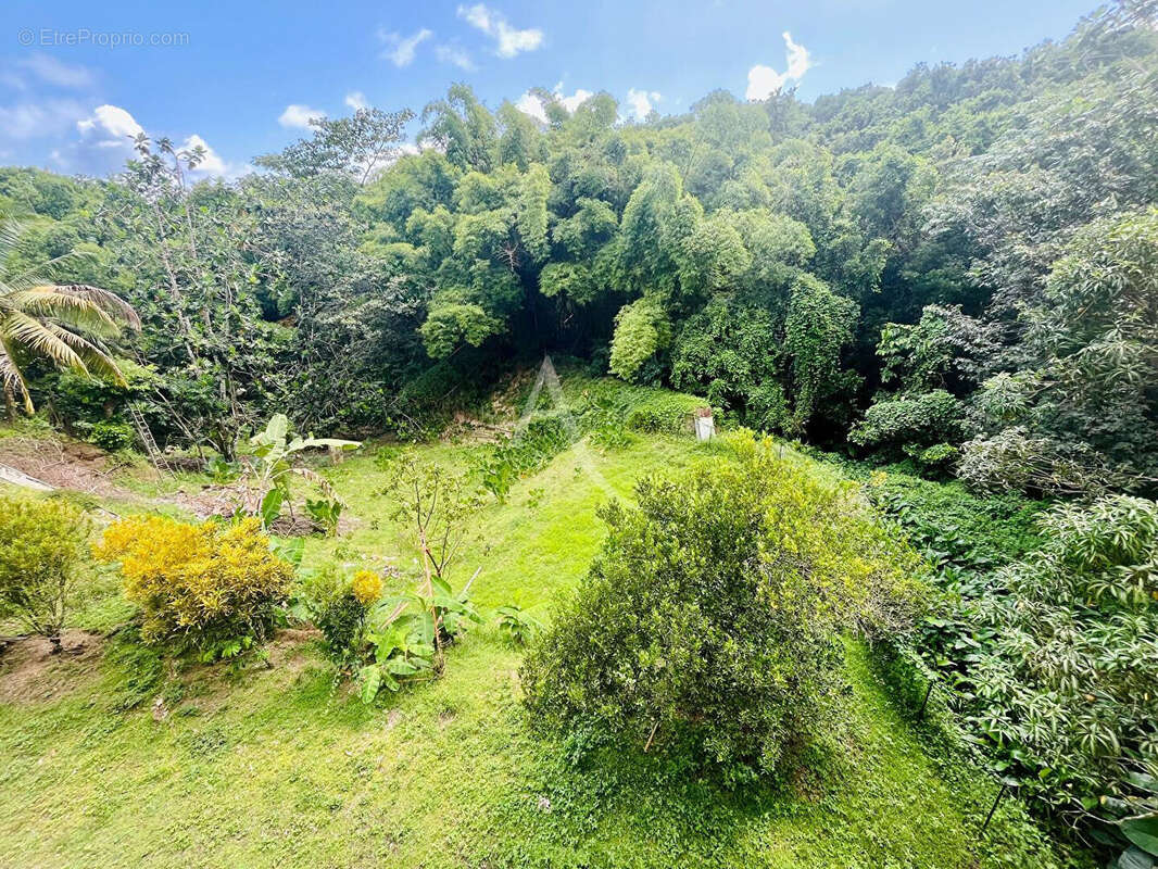 Maison à SCHOELCHER