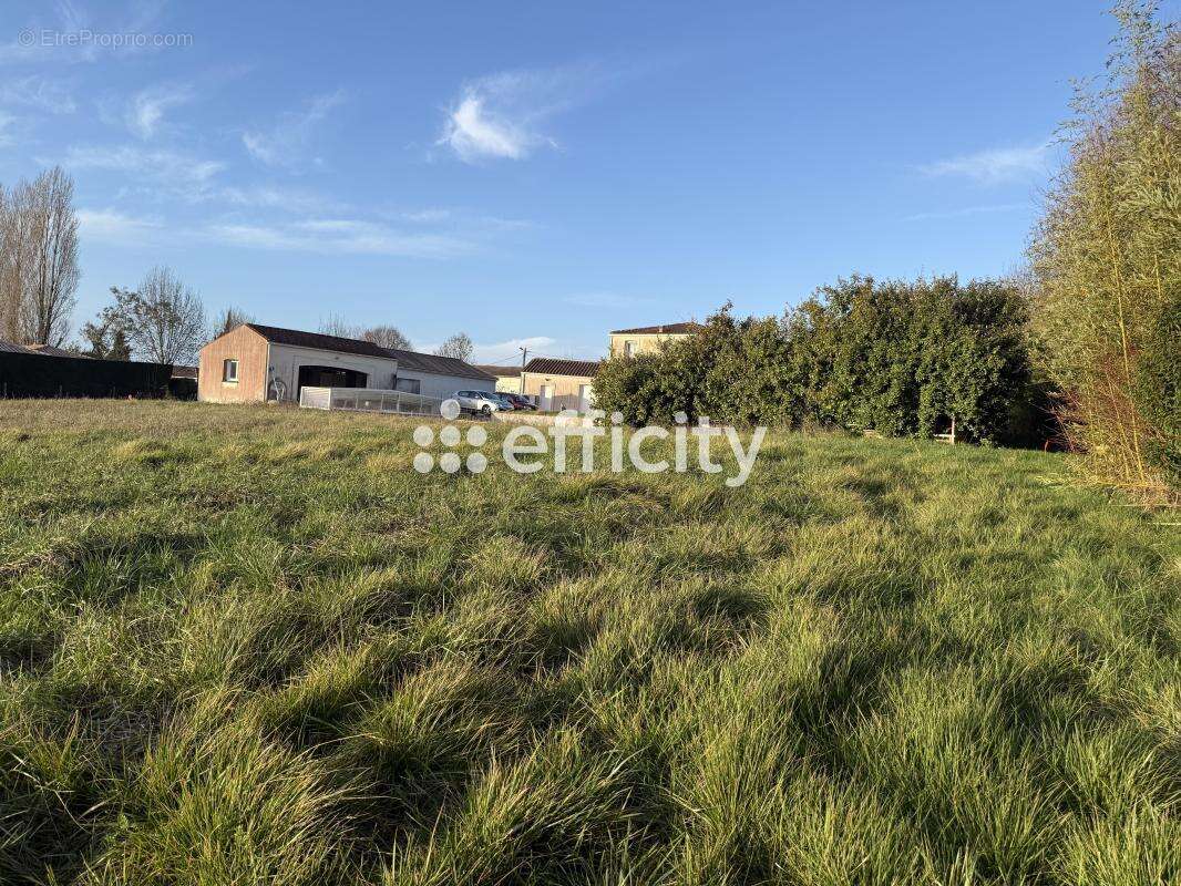 Terrain à SAINT-SULPICE-DE-ROYAN