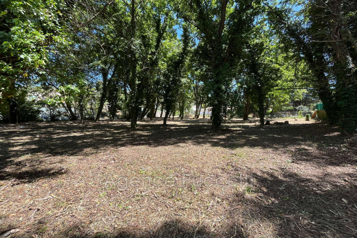 Terrain 2221 m² à Vence  - photo 3