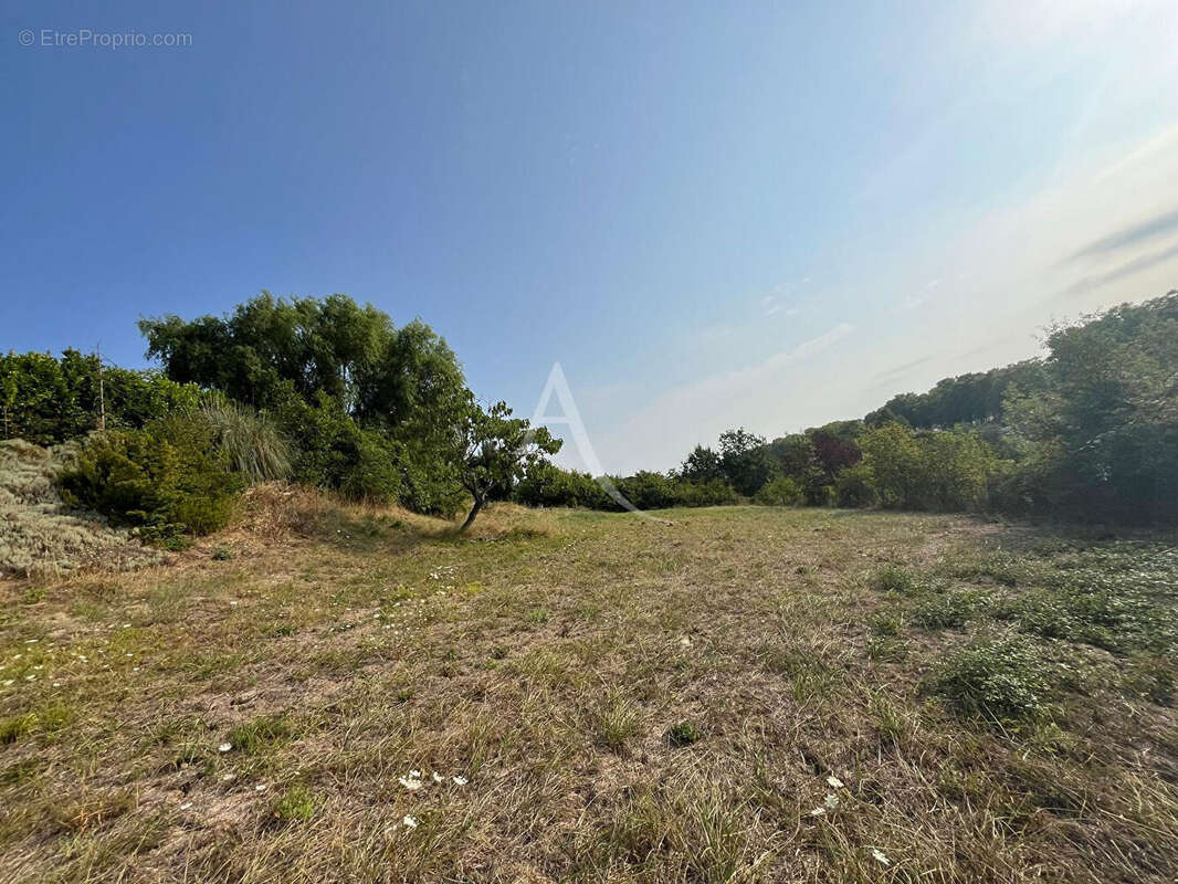 Terrain à Rabastens de 1252 m² ! - photo 4