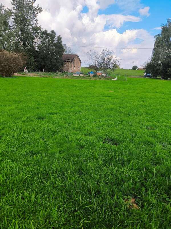 Photo 2 - Terrain à FRANCHEVELLE