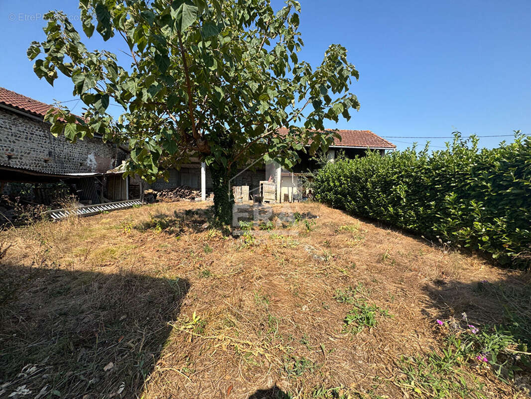 Maison 91m² à camalès - photo 9