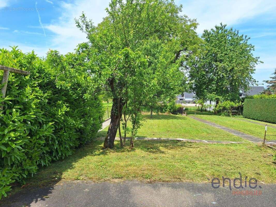 Maison de maître 7 pièces à rénover avec terrain de 982 m²  Pfetterhouse - photo 3